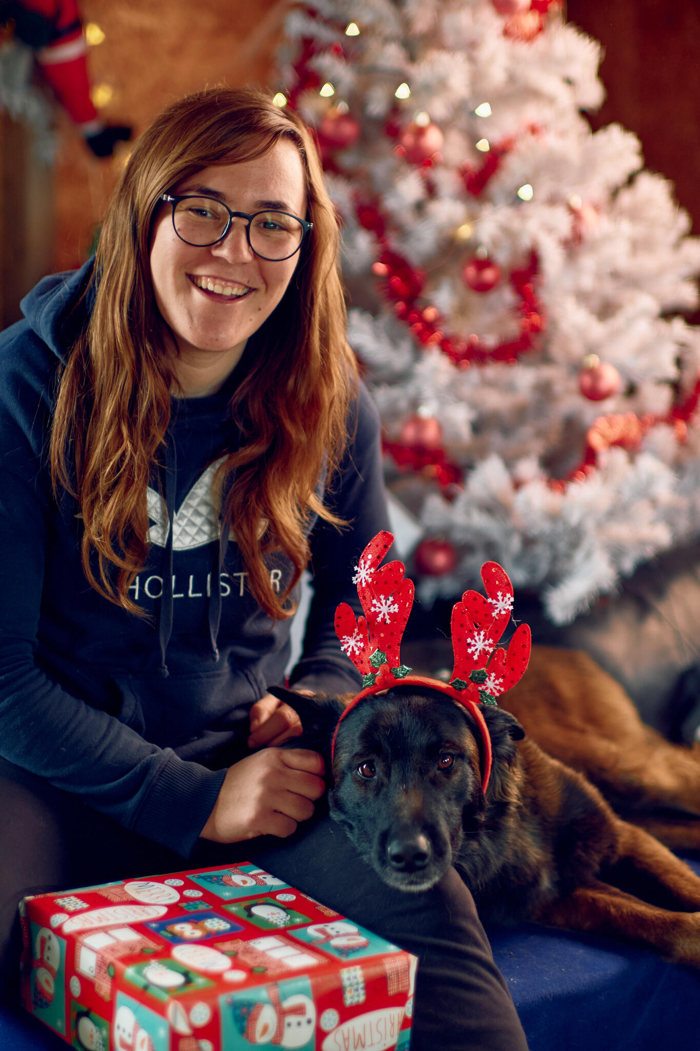 Balanced life dog training program