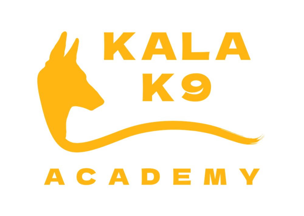 Kala K9 Academy dog training in Zagreb and Velika Gorica