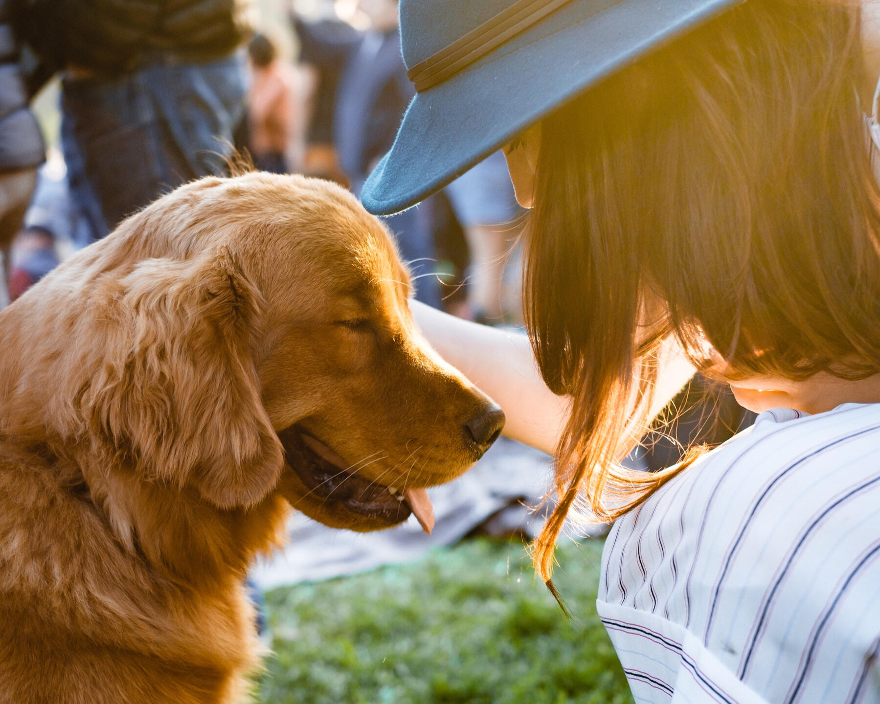 dog socialization zagreb croatia
