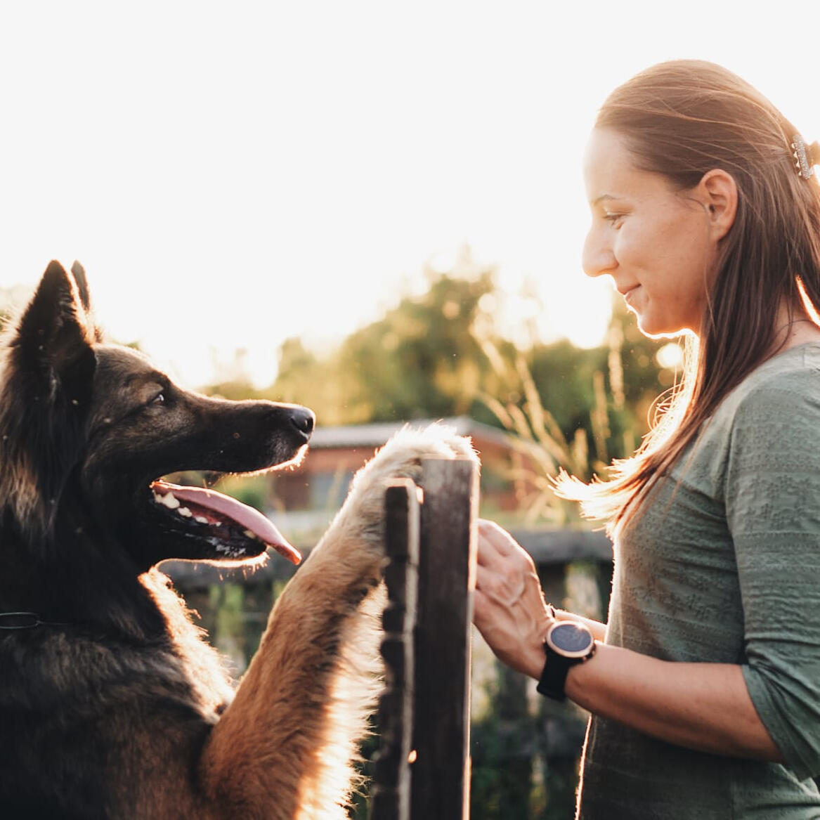 Licensed dog trainer Tamara Mihoci Kala K9 Academy